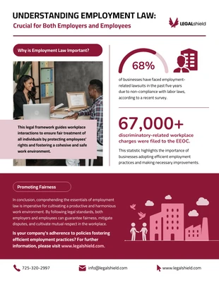 business  Template: Informazioni sul diritto del lavoro per i datori di lavoro Infografica