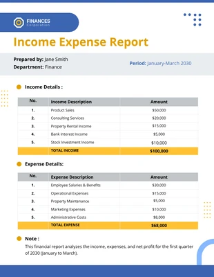 premium  Template: Modello di rapporto sulle spese di reddito