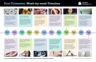 business  Template: Trimestre de la grossesse Calendrier des soins de santé