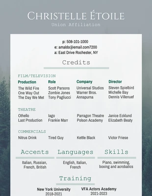 premium  Template: Curriculum di recitazione (A4)