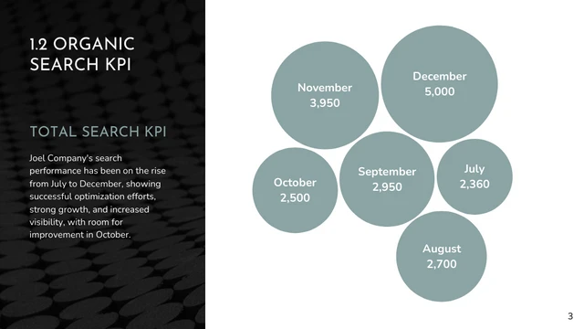 Web Analytics Report Presentation - Page 3